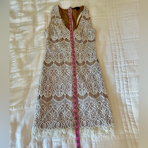 Gorgeous Small White Lace Dress with Tan Lining - Picture 7 of 7